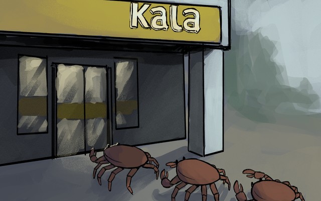 Rapuhyvinvointiyhteiskunta