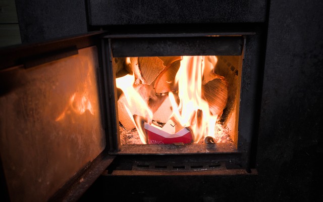 Onko tämä kuva kantaaottava?